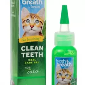 Гігієна зубів у кішок