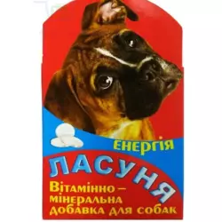 "Ласуня Енергія" - вітамінно-мінеральна добавка для собак (100 табл.), Норіс