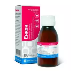 Енкон 100 мл флакон Бровафарма (лікування грибкових уражень шкіри домашніх тварин)
