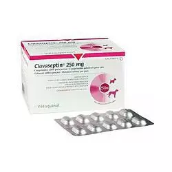 Клавасептин (Clavaseptin) 250 мг 10 табл. - 1т/20кг (для лікування захворювань шкіри кішок і собак) Vetoquino