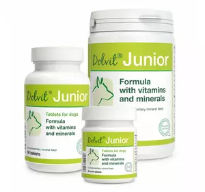 Вітамінно-мінеральна добавка для собак Dolvit Junior Mini , 90 таб. (вітаміни)