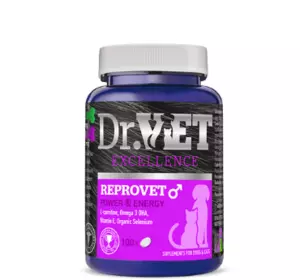 Вітамінно-мінеральна добавка Dr.Vet Reprovet Male Репровет для самців собак та котів 100 табл.