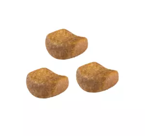 Сухий корм Royal Canin British Shorthair Adult для котів породи британська короткошерста від 1 року на вагу 1 кг Сухий корм Royal Canin British Shorthair Adult для котів породи британська короткошерста від 1 року на вагу 1 кг