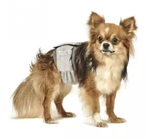 Гігієнічний пояс для кобелів Природа M 39-43 см Гігієнічний пояс для кобелів Природа M 39-43 см