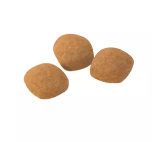 Сухий корм Royal Canin Protein Exigent для вибагливих котів до поживності корму від 1 до 7 років на вагу 1 кг Сухий корм Royal Canin Protein Exigent для вибагливих котів до поживності корму від 1 до 7 років на вагу 1 кг