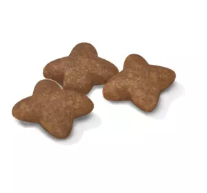 Сухий корм Royal Canin Mini Adult для дорослих собак дрібних розмірів на вагу 1 кг Сухий корм Royal Canin Mini Adult для дорослих собак дрібних розмірів на вагу 1 кг