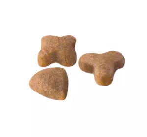 Сухий корм Royal Canin Sensible 33 для дорослих котів віком від 1 року із чутливою системою травлення на вагу 1 кг Сухий корм Royal Canin Sensible 33 для дорослих котів віком від 1 року із чутливою системою травлення на вагу 1 кг