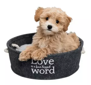 Trixie TX-38395 Bett Lian лежак для собак і кішок 37 cм Trixie TX-38395 Bett Lian лежак для собак і кішок 37 cм