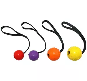 Іграшка гумовий М'яч з шипами на мотузці 6*30см ER055 ZooMax