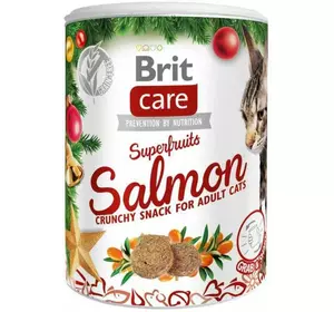 Різдвяні ласощі для котів Brit Care Cat Superfruits з лососем та обліпихою 100 г Різдвяні ласощі для котів Brit Care Cat Superfruits з лососем та обліпихою 100 г