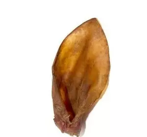 Ласощі вухо яловиче 1шт Ласощі вухо яловиче 1шт