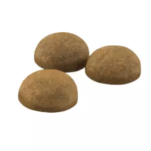 Сухий корм для кішок і собак Роял Канін Royal Canin на вагу Сухий корм для кішок і собак Роял Канін Royal Canin на вагу