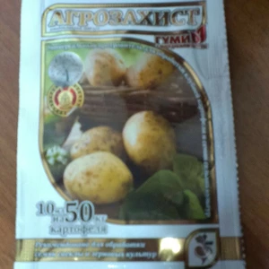 Протруйники Протруйники